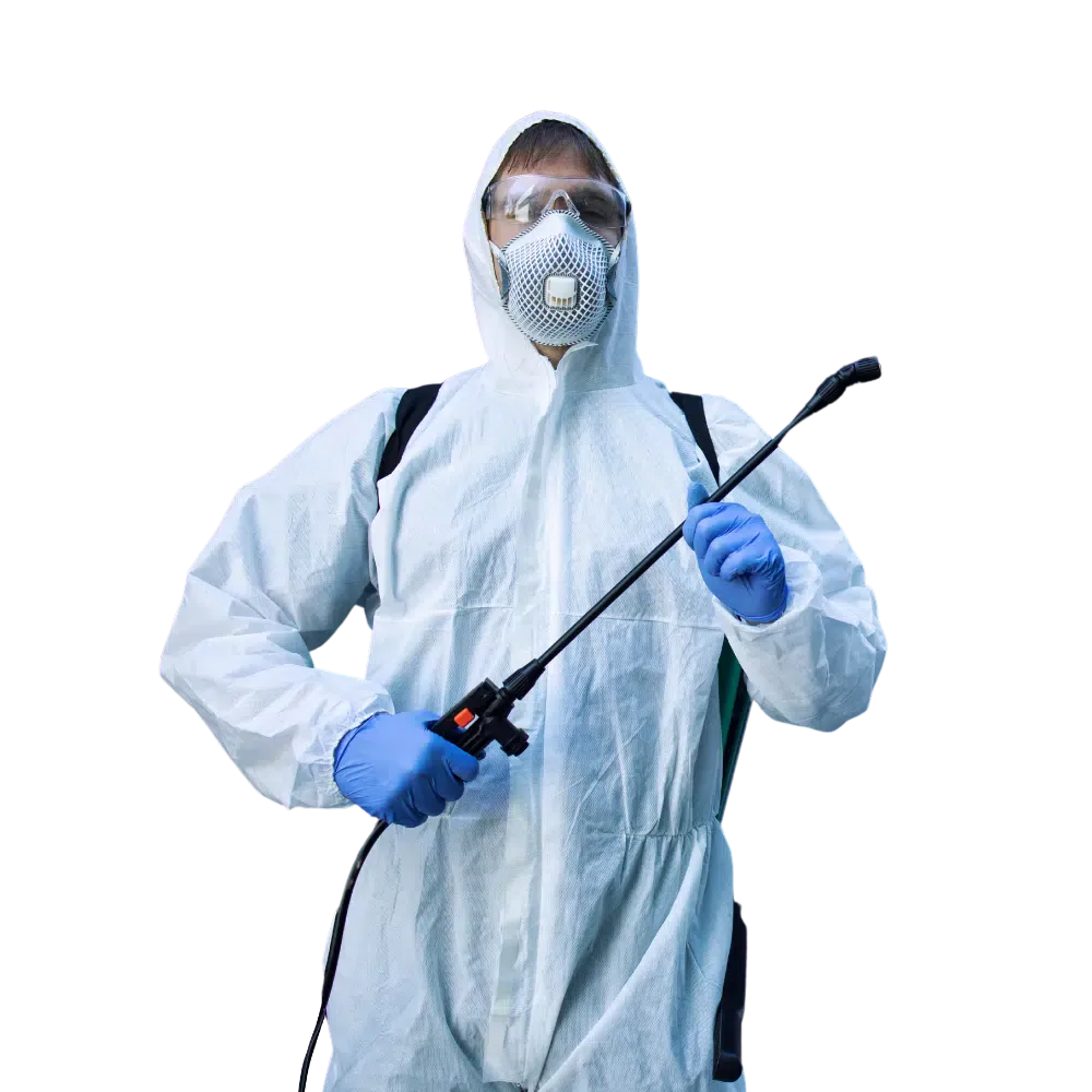 aziende di disinfestazione