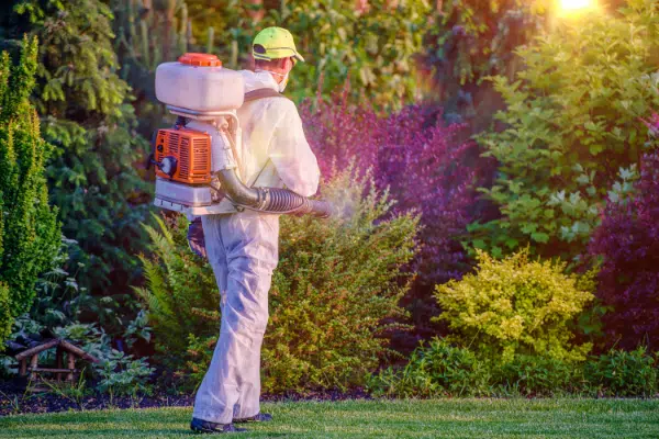 disinfestazione giardino