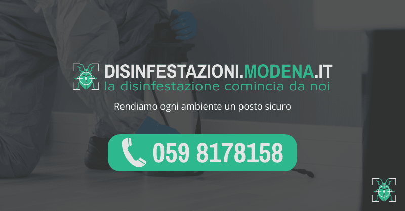 Logo Disinfestazione Modena