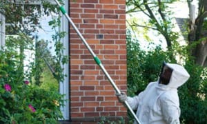 disinfestatore che effettua una rimozione di un nido di vespe